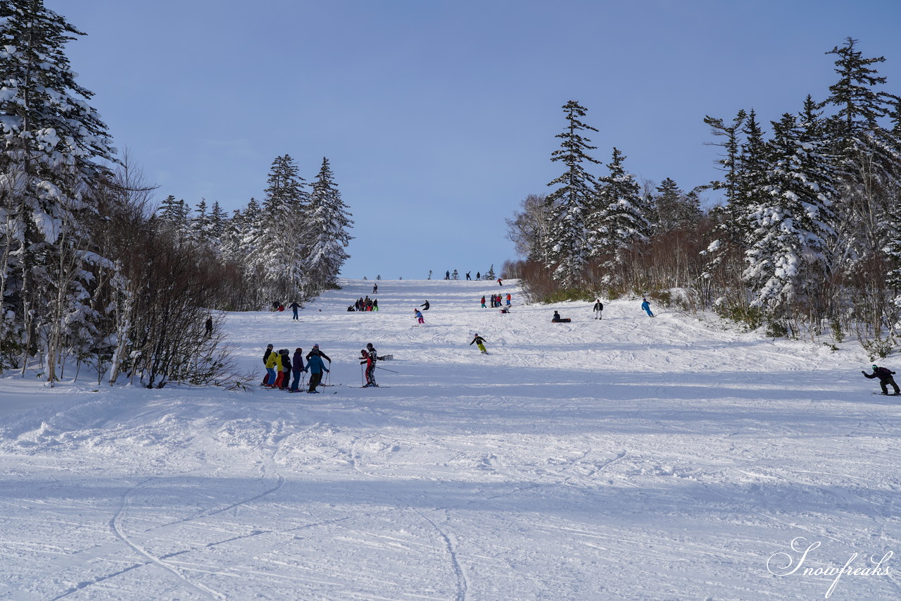 札幌国際スキー場 これぞ北海道。粉雪が降り積もったゲレンデはコンディション良好！そして、早くも全コース滑走可能です(*^^)v